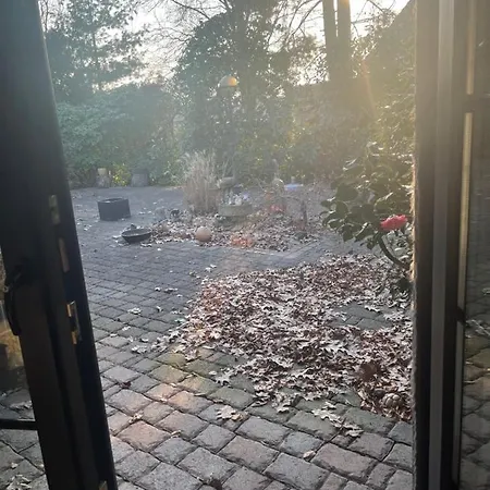 Aldo Garden * Monchengladbach