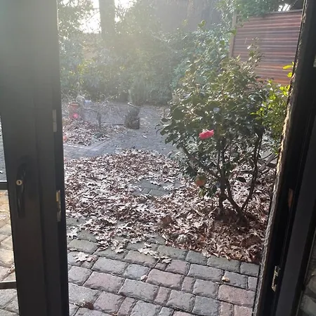 Aldo Garden Monchengladbach